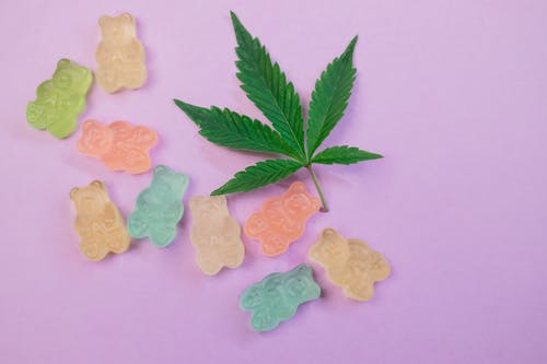 Consuming Cannabis: The Health Benefits of Edibles